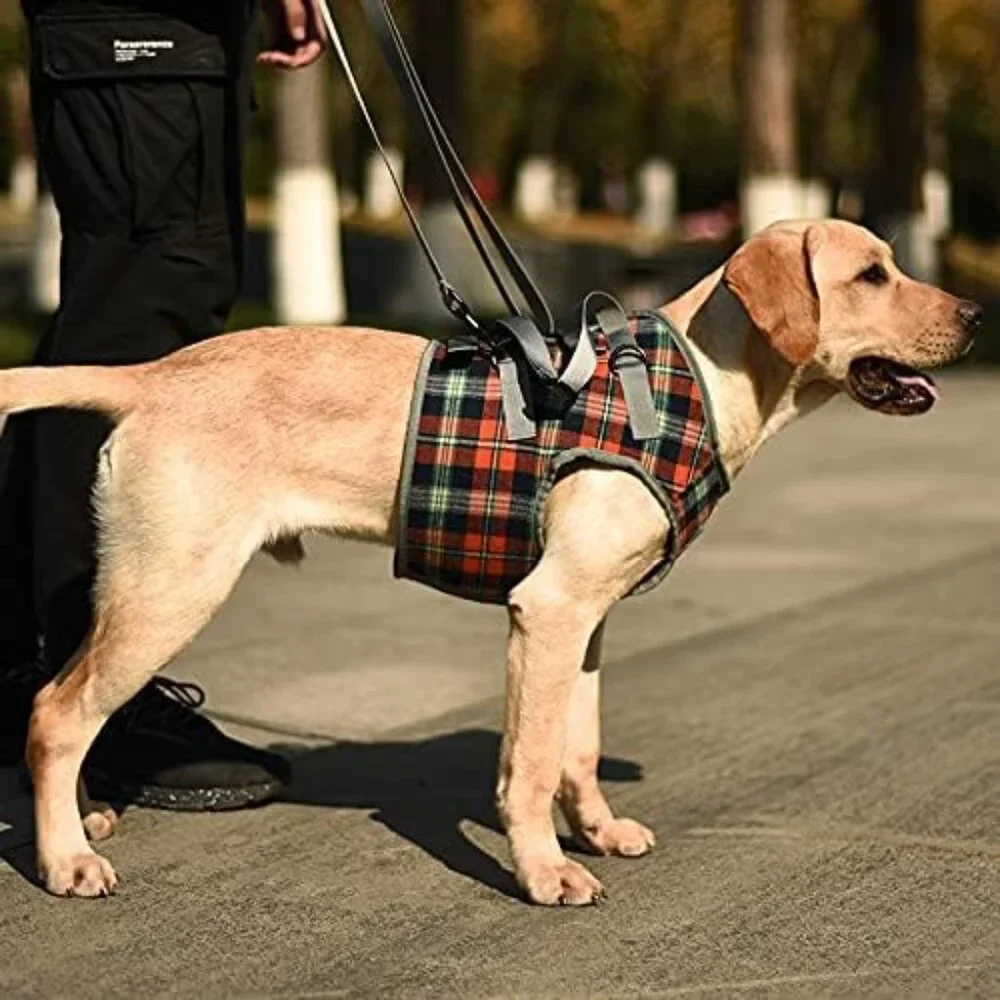Dog Lift Harness, Grid Pet Chest Support Aid Veterinarian Approved